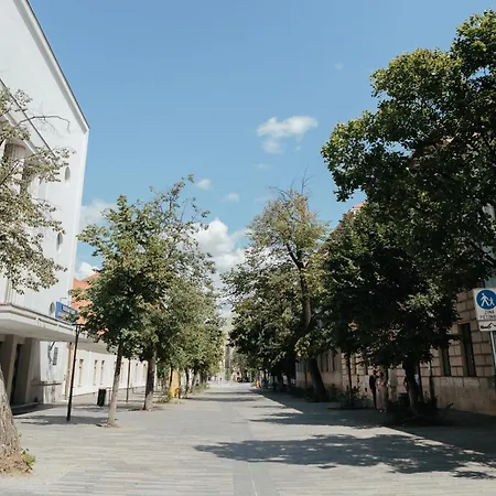 Apartment Bethlen Cluj-Napoca